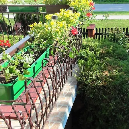 Séjour chez l'habitant Zabi Staw *