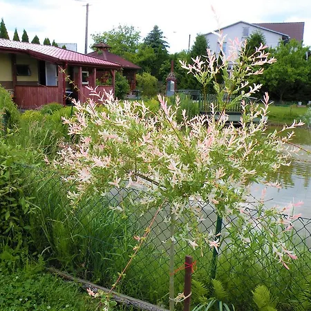 Zabi Staw Séjour chez l'habitant *